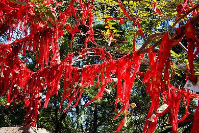 EVO法国站主要比赛游戏公布 《饿狼传说》参战