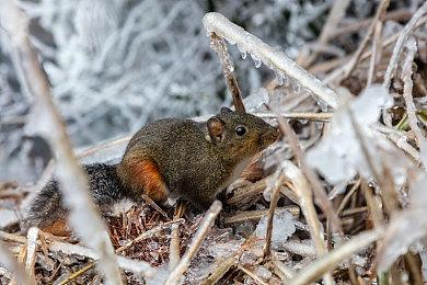 《永劫无间》联动高达设计师全新角色造型惊艳亮相